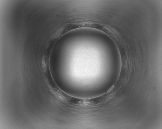 X0000071950607200607071212