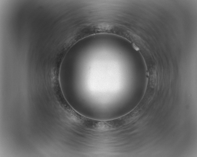 X0000071950608200607071212