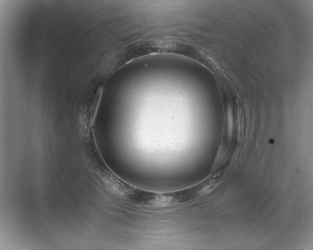 X0000071950609200607071212