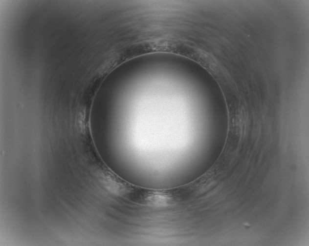 X0000071950610200607071212