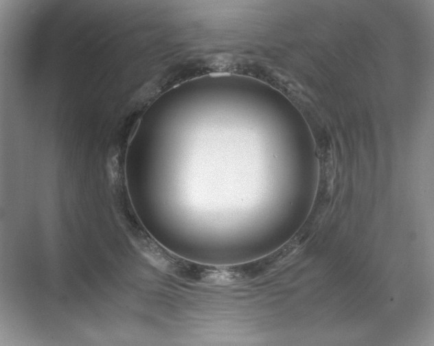 X0000071950611200607071212