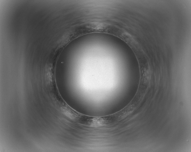 X0000071950612200607071212