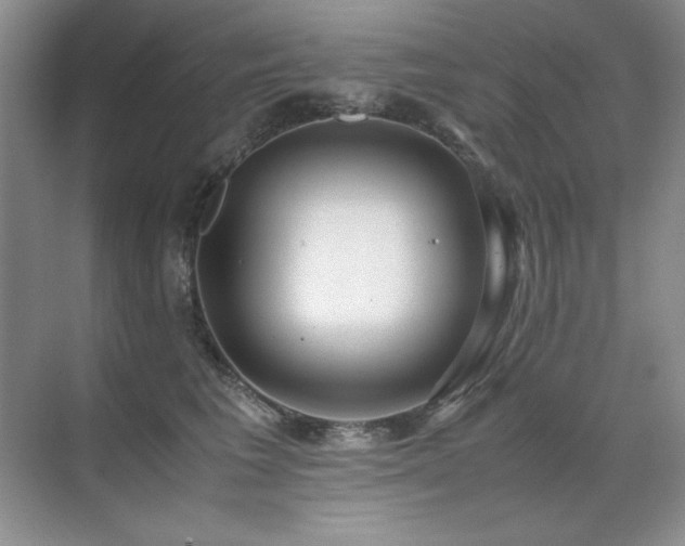 X0000071950613200607071212