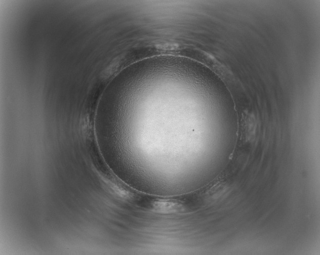 X0000071950614200607071212