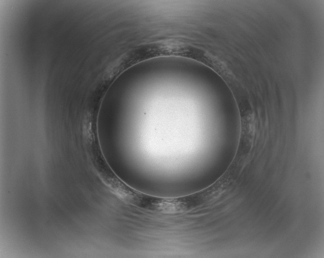 X0000071950615200607071212