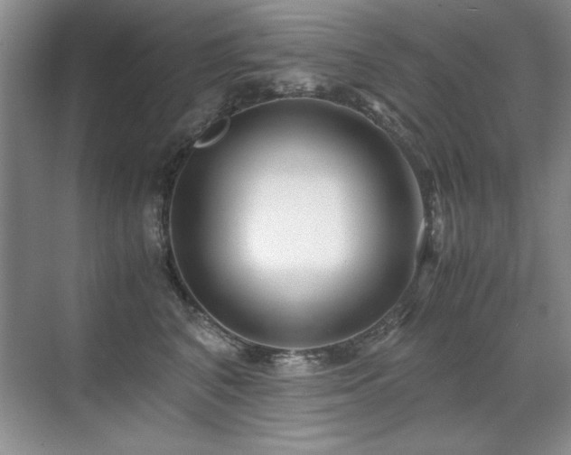 X0000071950616200607071212