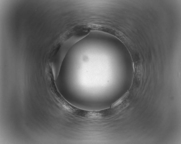 X0000071950617200607071212