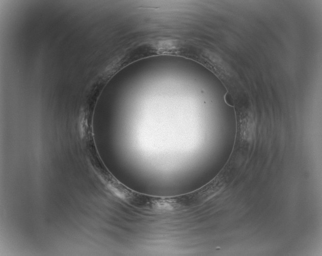 X0000071950618200607071212