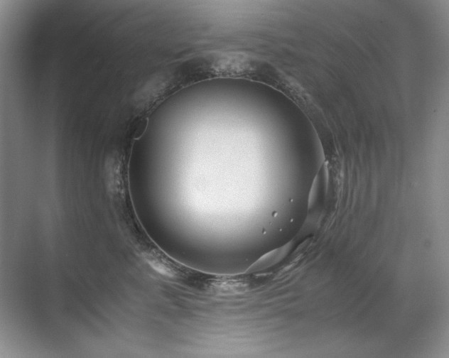 X0000071950619200607071212