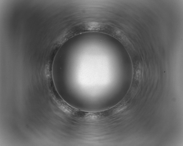 X0000071950620200607071211