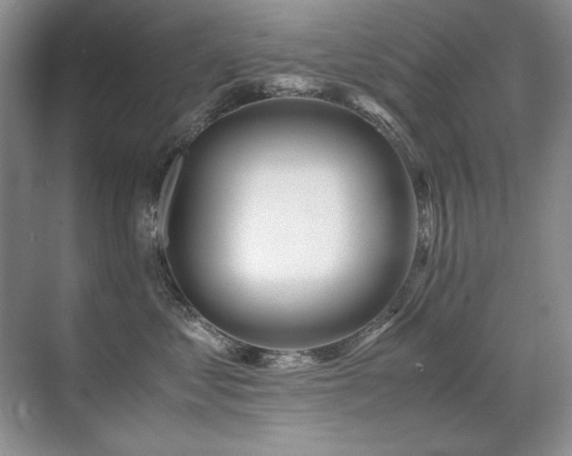 X0000071950621200607071211