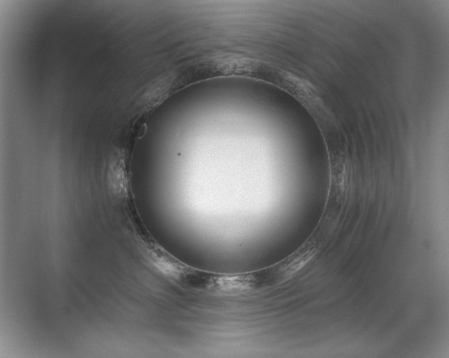 X0000071950622200607071211