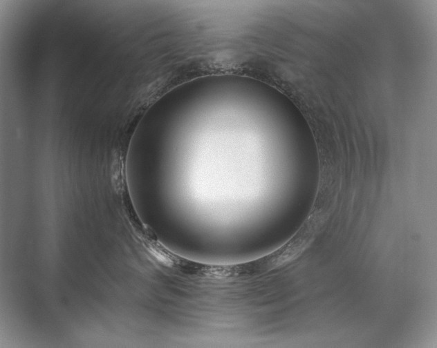 X0000071950624200607071211