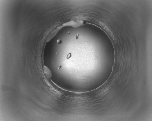 X0000071950625200607071211