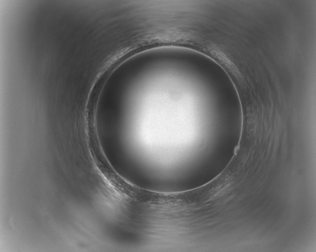 X0000071950626200607071211