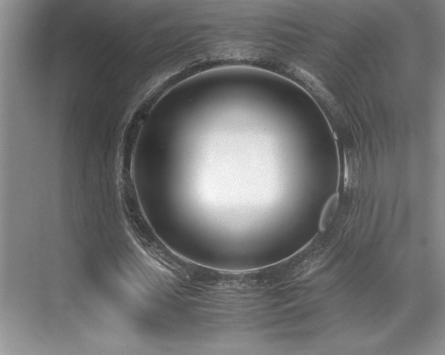 X0000071950627200607071211