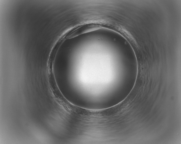 X0000071950628200607071211