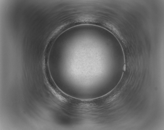 X0000071950629200607071211