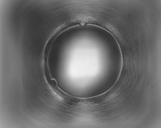 X0000071950630200607071211