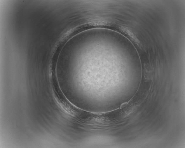 X0000071950631200607071211