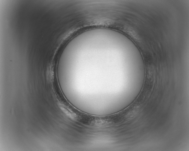 X0000071950632200607071211