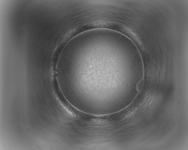 X0000071950633200607071211