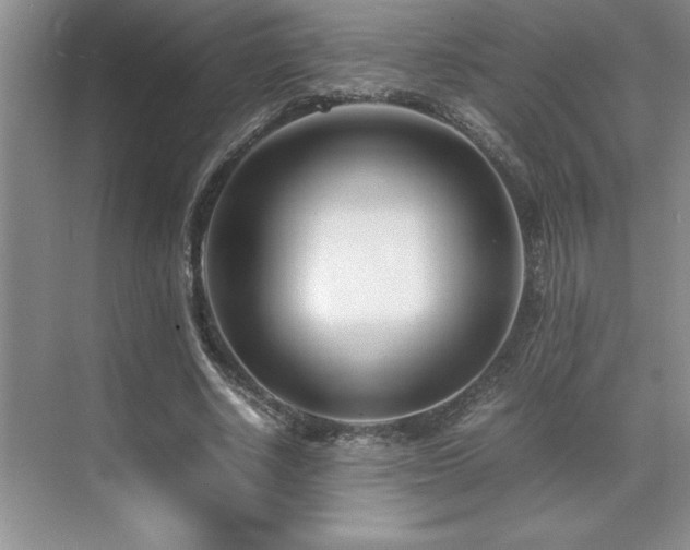 X0000071950634200607071211