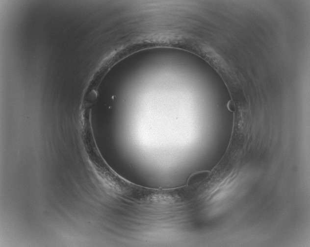 X0000071950636200607071211