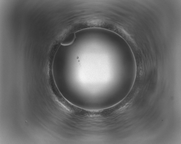 X0000071950637200607071211