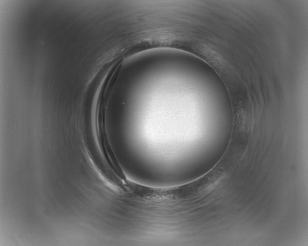 X0000071950638200607071211