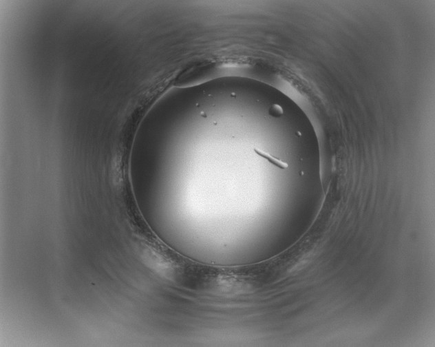 X0000071950641200607071211