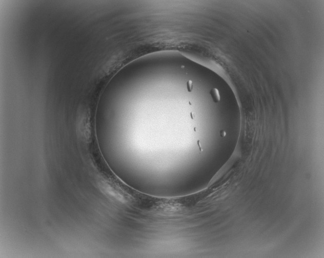 X0000071950642200607071211