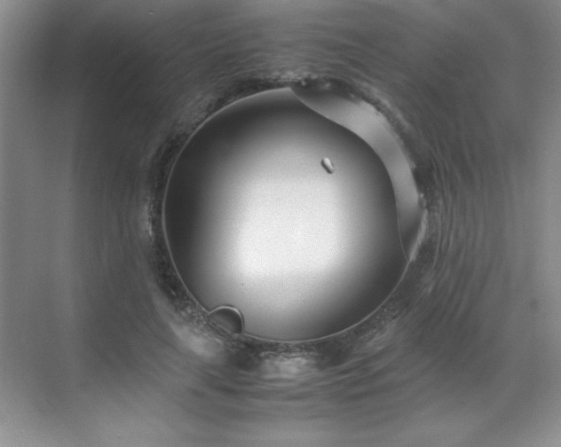 X0000071950643200607071211