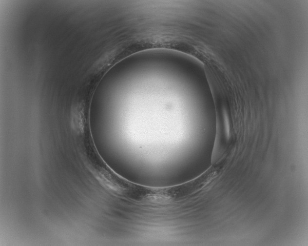 X0000071950644200607071211