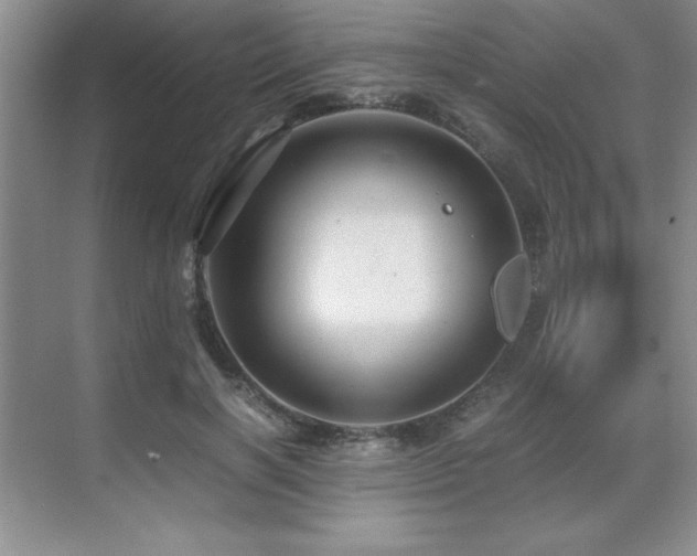 X0000071950646200607071211