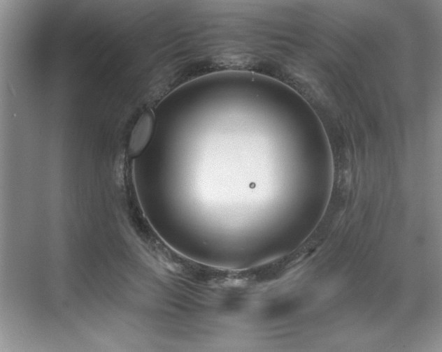 X0000071950647200607071211