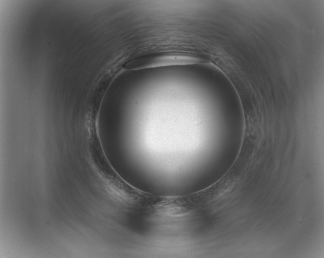 X0000071950648200607071211