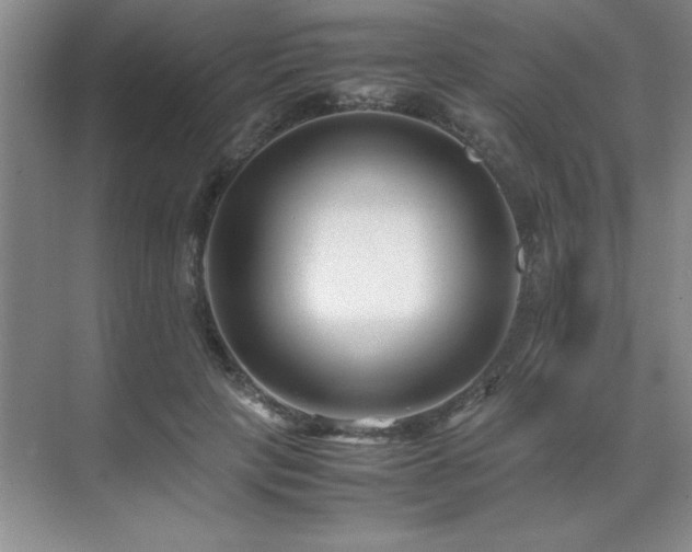 X0000071950649200607071211