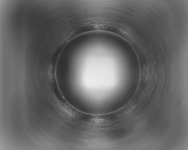 X0000071950650200607071211