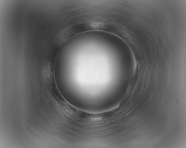 X0000071950651200607071211