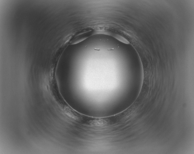 X0000071950652200607071211