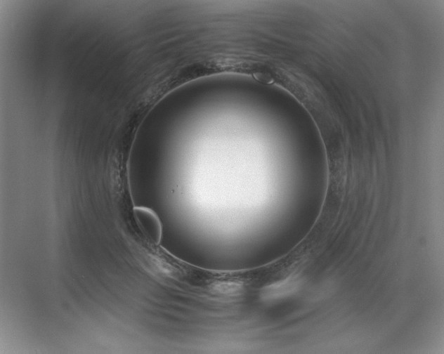 X0000071950653200607071211