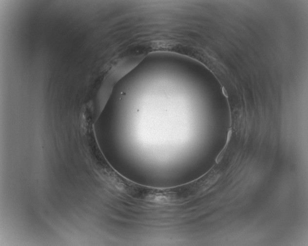 X0000071950655200607071211