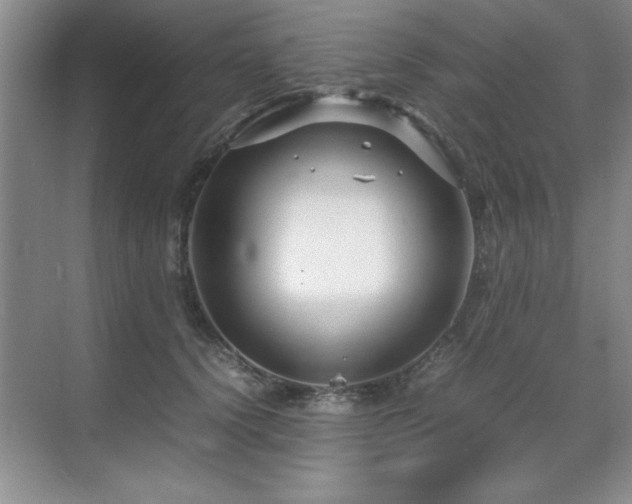 X0000071950656200607071211