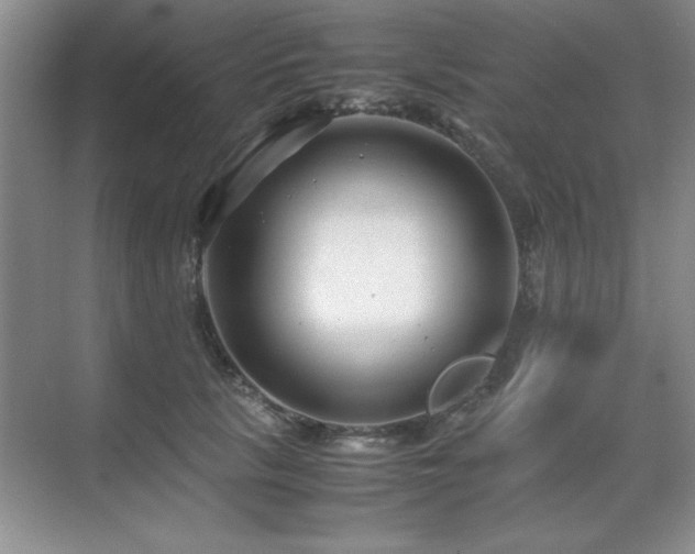 X0000071950657200607071211