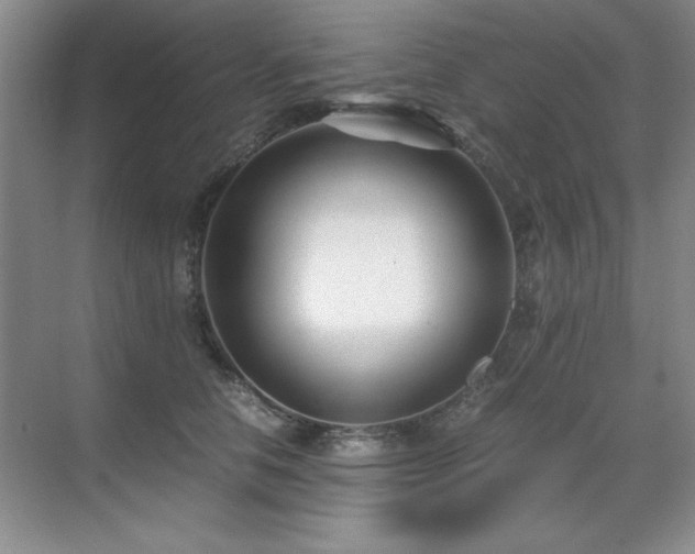 X0000071950658200607071211