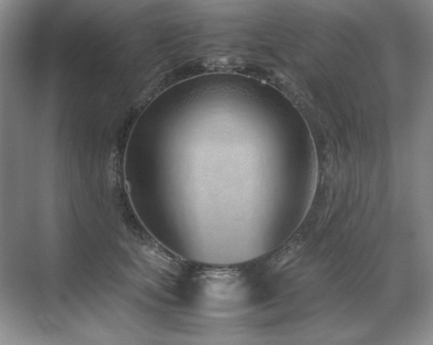 X0000071950659200607071211