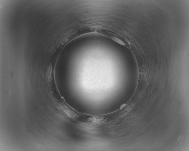 X0000071950660200607071211