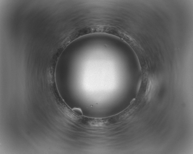 X0000071950661200607071211