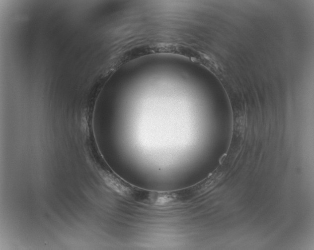 X0000071950662200607071211